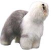 breed_oldenglishsheepdog1.jpg