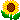 s2_sum_sunflower